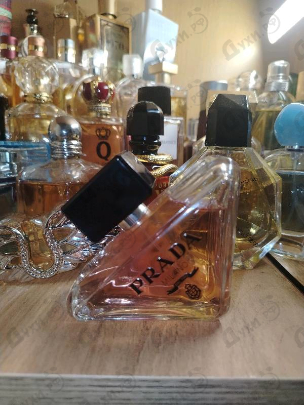 Парфюмерия Prada Paradoxe