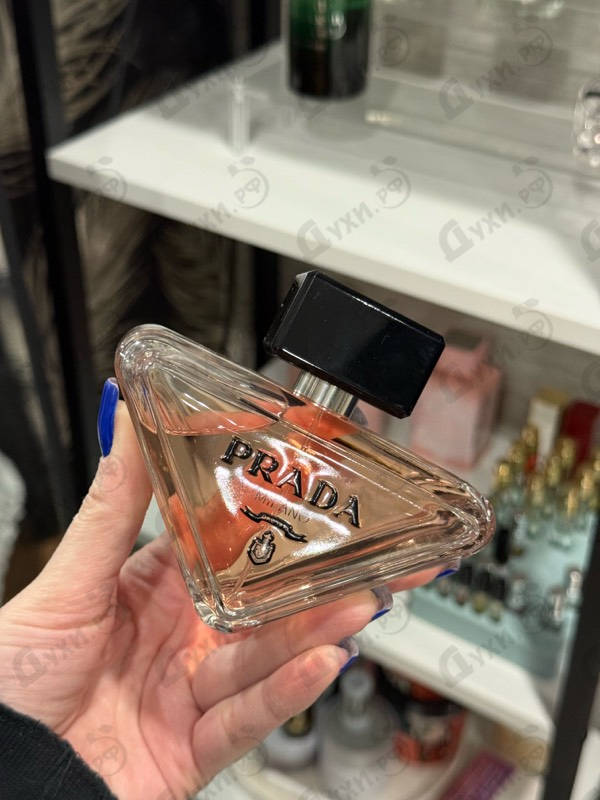 Отзыв Prada Paradoxe