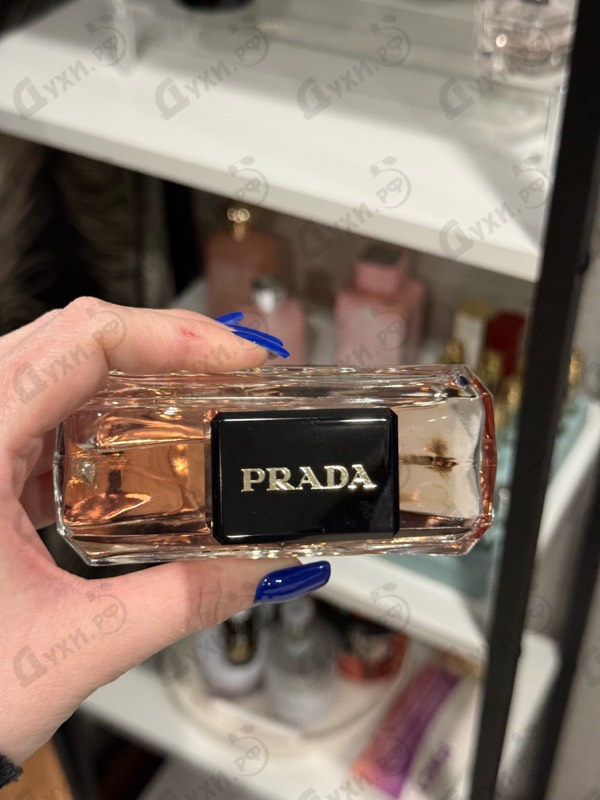 Парфюмерия Prada Paradoxe