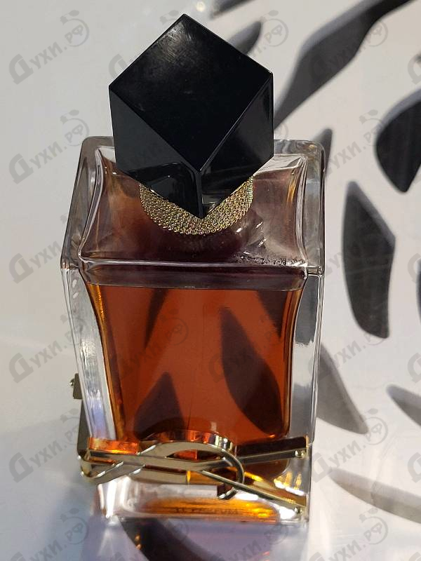 Духи Yves Saint Laurent Libre Le Parfum Купить Libre Le Parfum от Yves Saint Laurent