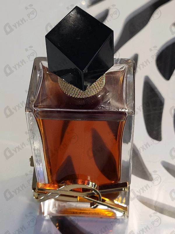 Купить Libre Le Parfum от Yves Saint Laurent