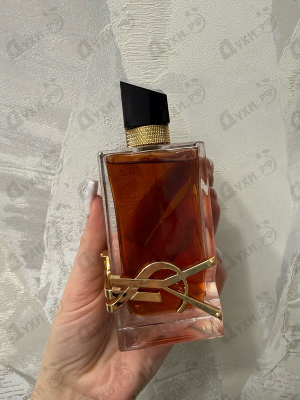 Отзыв Yves Saint Laurent Libre Le Parfum