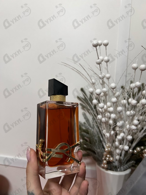 Купить Libre Le Parfum от Yves Saint Laurent