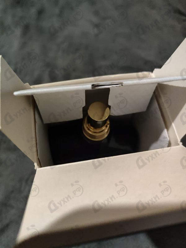 Отзыв Jean Paul Gaultier Le Beau Le Parfum