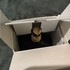 Отзыв Jean Paul Gaultier Le Beau Le Parfum