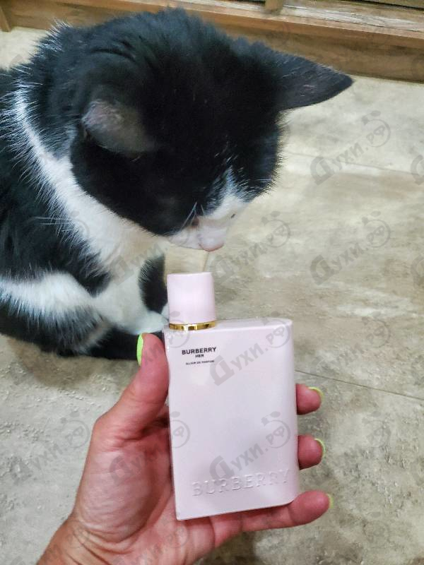 Парфюмерия Her Elixir De Parfum от Burberry