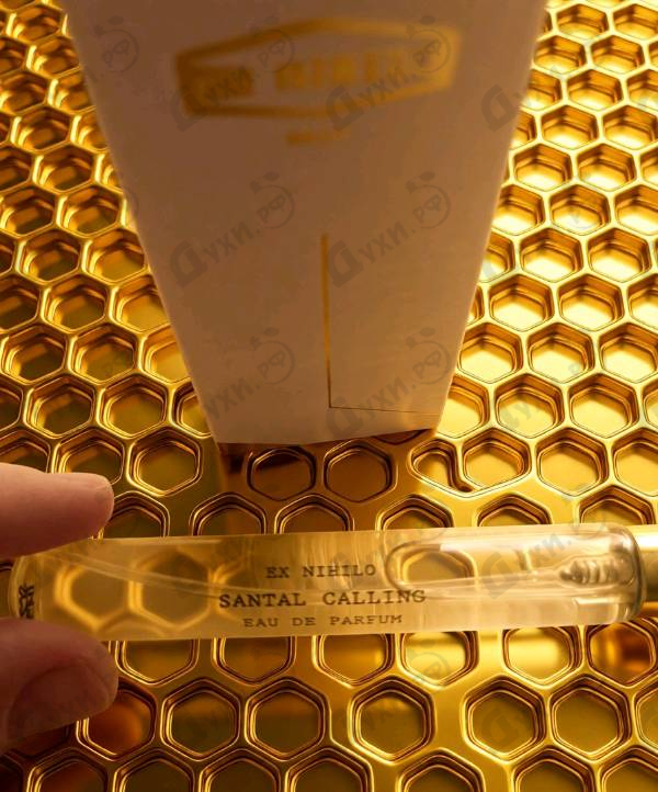 Купить Santal Calling от Ex Nihilo