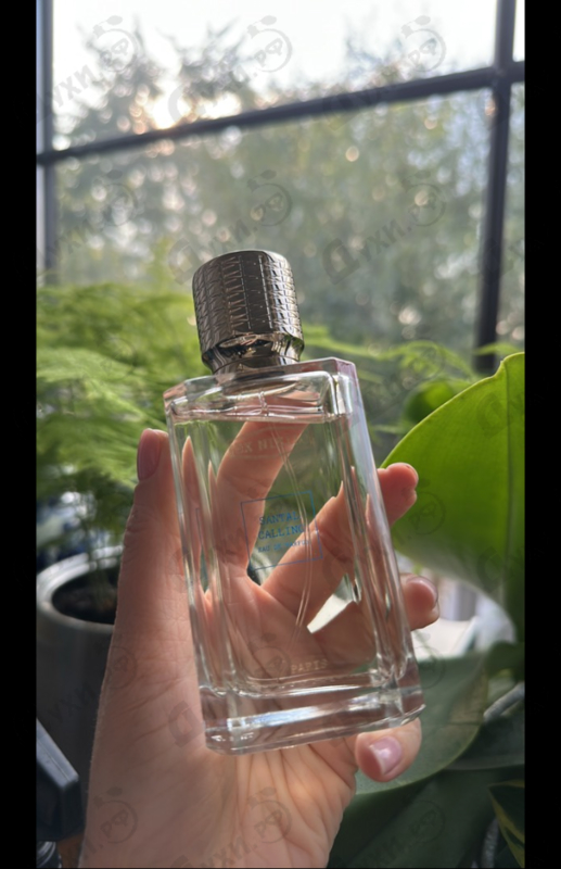 Отзыв Ex Nihilo Santal Calling