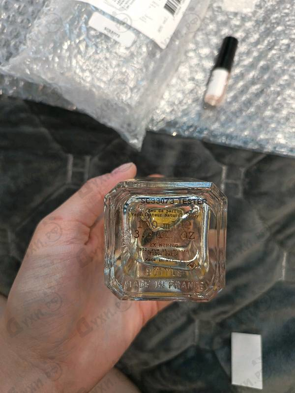 Купить Ex Nihilo Santal Calling