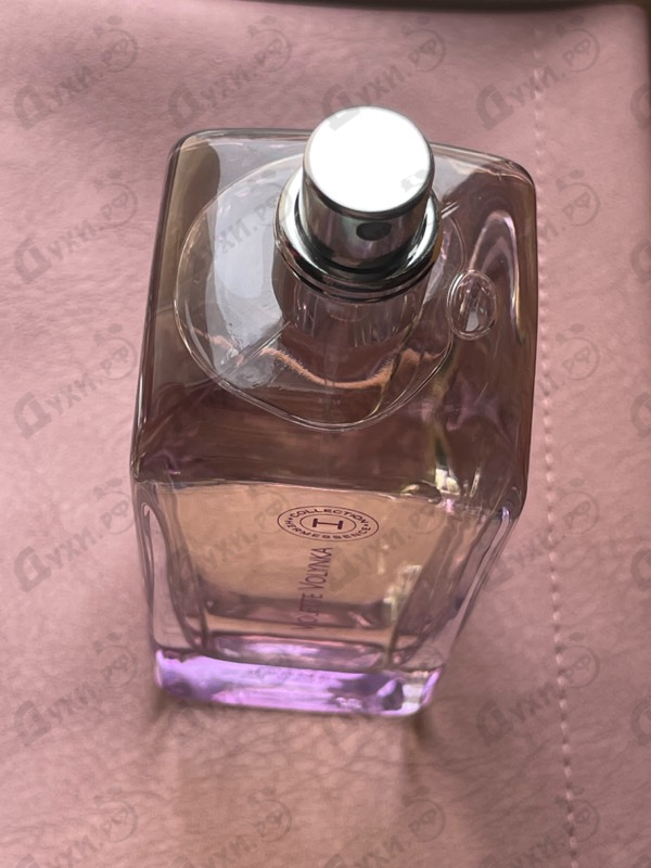 Купить Violette Volynka от Hermes