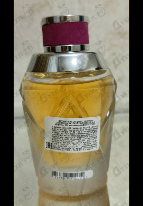 Отзыв Bentley Vibrant Hibiscus