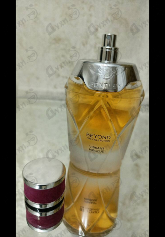 Купить Bentley Vibrant Hibiscus