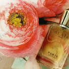 Отзыв Alaia Paris