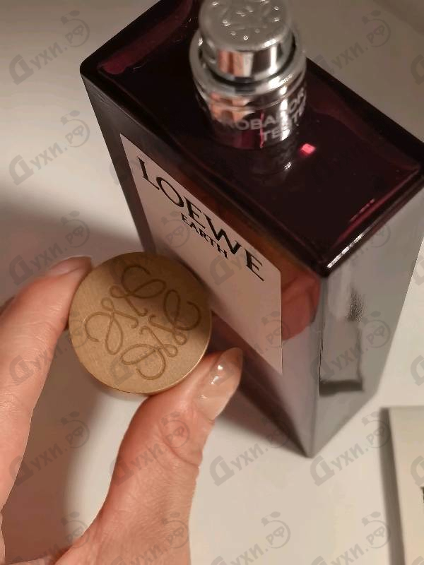 Купить Earth от Loewe