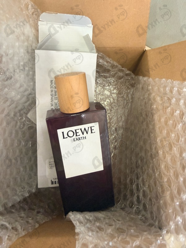 Купить Earth от Loewe