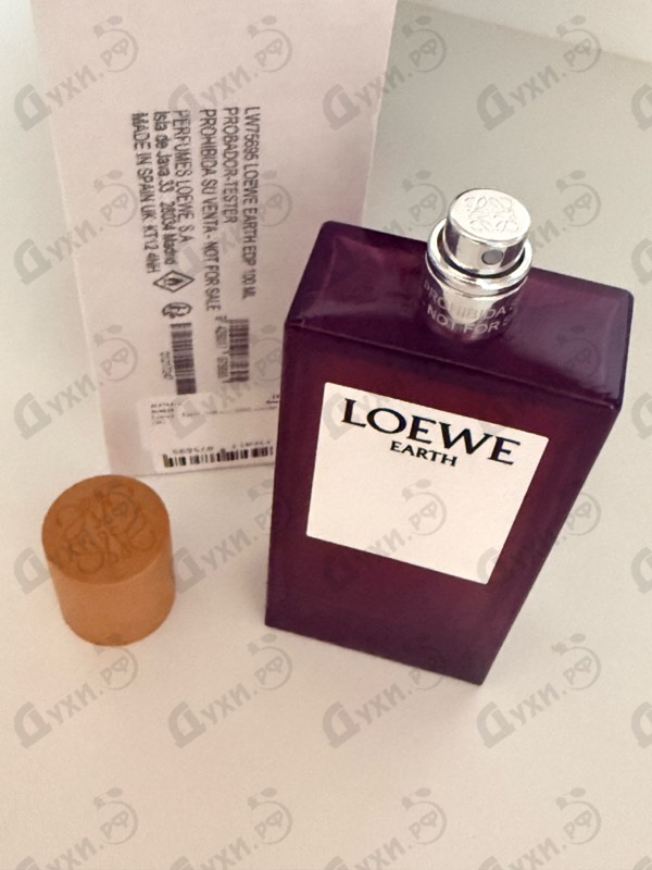 Купить Loewe Earth