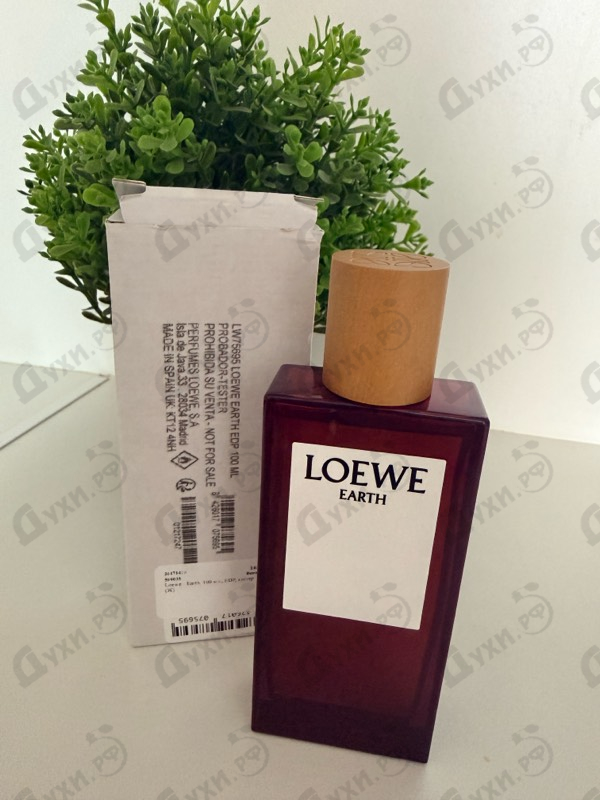 Парфюмерия Earth от Loewe