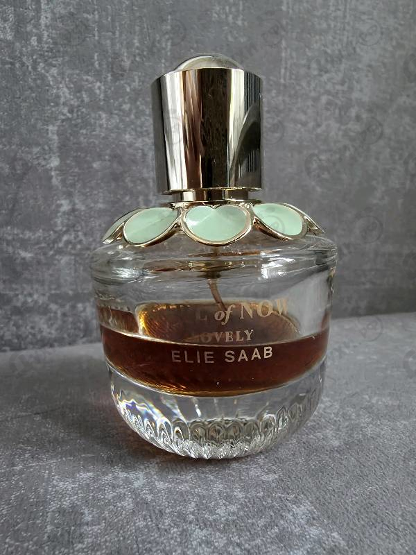 Отзыв Elie Saab Girl Of Now Lovely