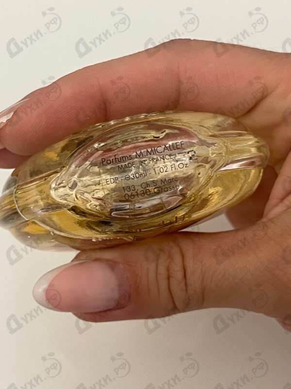 Купить Soleil Passion от Micallef