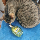 Парфюм Carine Roitfeld Carine