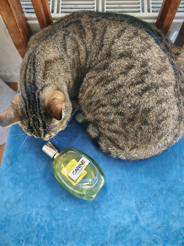 Парфюмерия Carine Roitfeld Carine