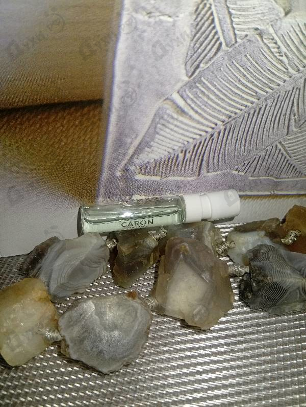 Духи Pour Un Homme De Caron Le Matin от Caron