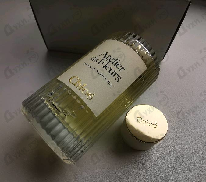 Купить Vanilla Planifolia от Chloe