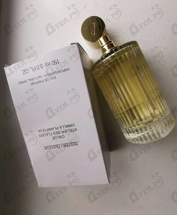 Купить Vanilla Planifolia от Chloe