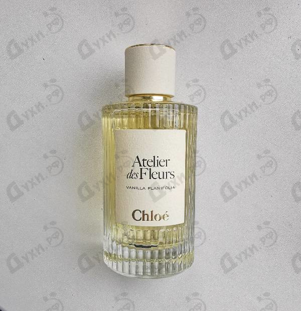 Купить Vanilla Planifolia от Chloe