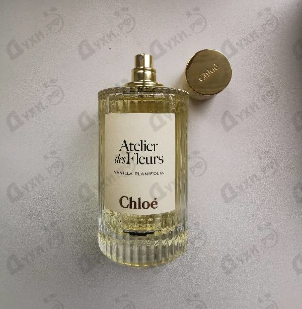 Духи Vanilla Planifolia от Chloe