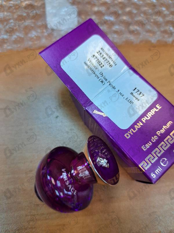 Купить Dylan Purple от Versace