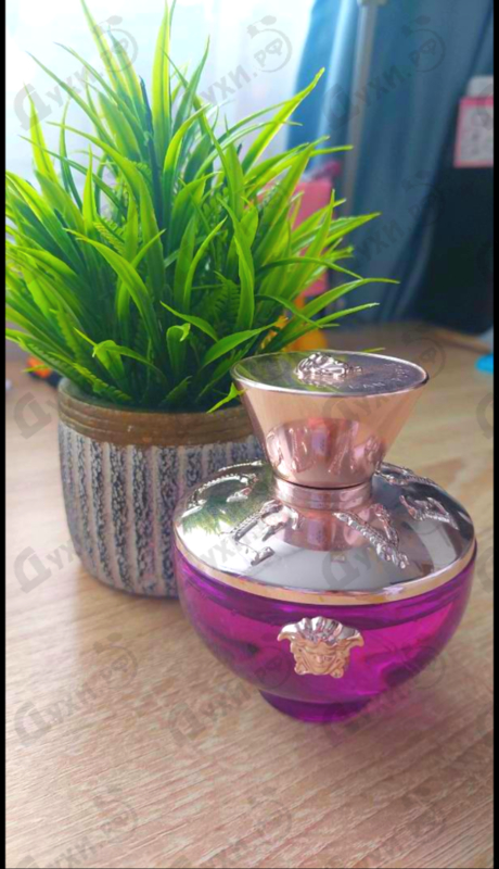 Духи Dylan Purple от Versace