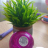 Духи Dylan Purple от Versace