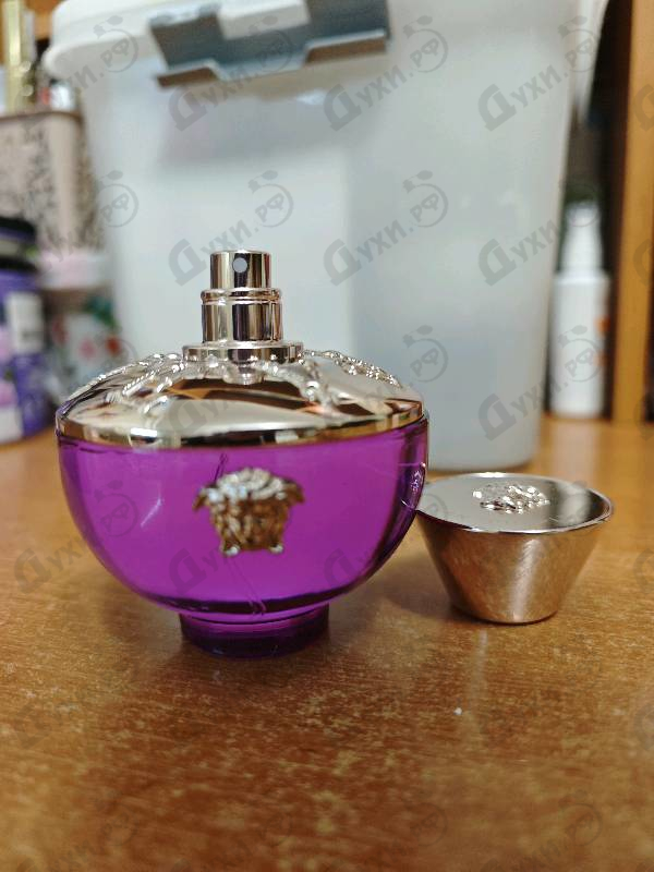 Отзыв Versace Dylan Purple