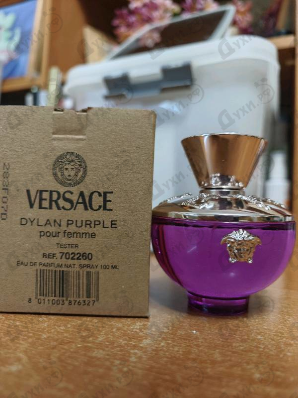 Отзыв Versace Dylan Purple