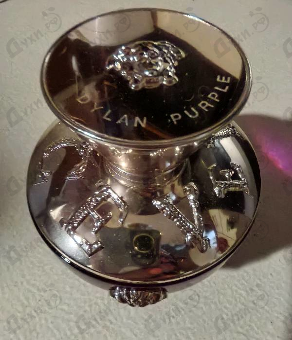 Купить Dylan Purple от Versace