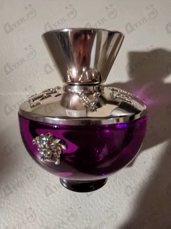 Купить Versace Dylan Purple