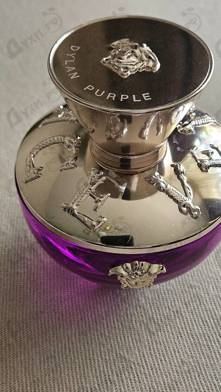 Купить Dylan Purple от Versace