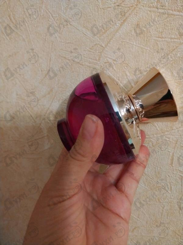Отзывы Versace Dylan Purple