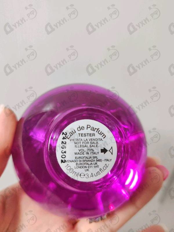 Отзыв Versace Dylan Purple
