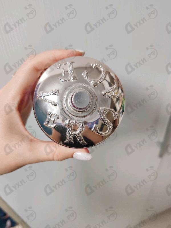 Купить Dylan Purple от Versace