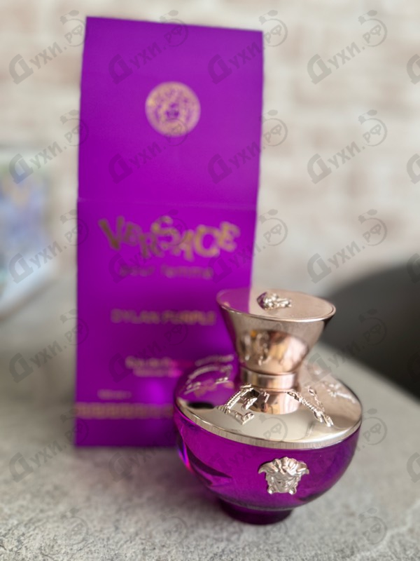Отзыв Versace Dylan Purple