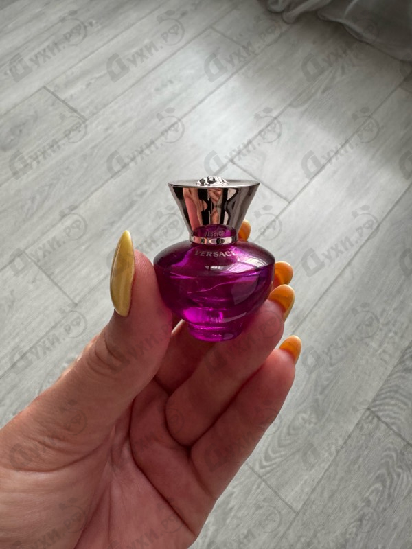 Купить Dylan Purple от Versace