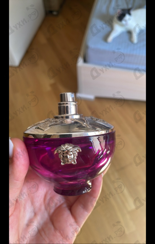 Купить Dylan Purple от Versace