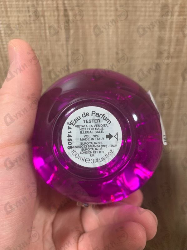 Купить Dylan Purple от Versace