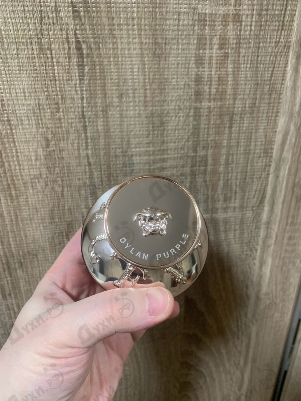 Купить Dylan Purple от Versace