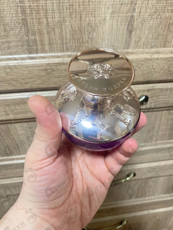 Парфюмерия Dylan Purple от Versace