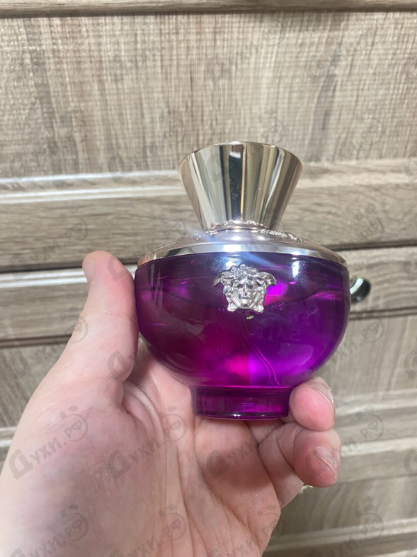 Отзывы Versace Dylan Purple