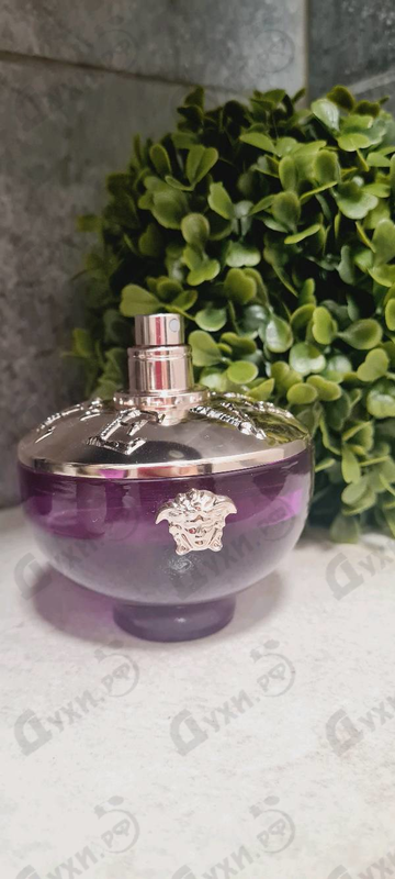 Купить Versace Dylan Purple