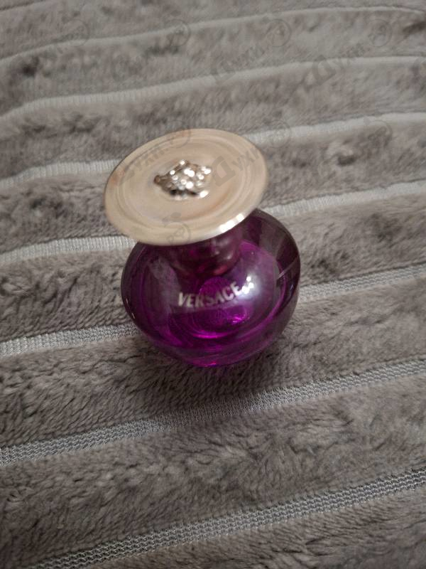 Отзывы Versace Dylan Purple